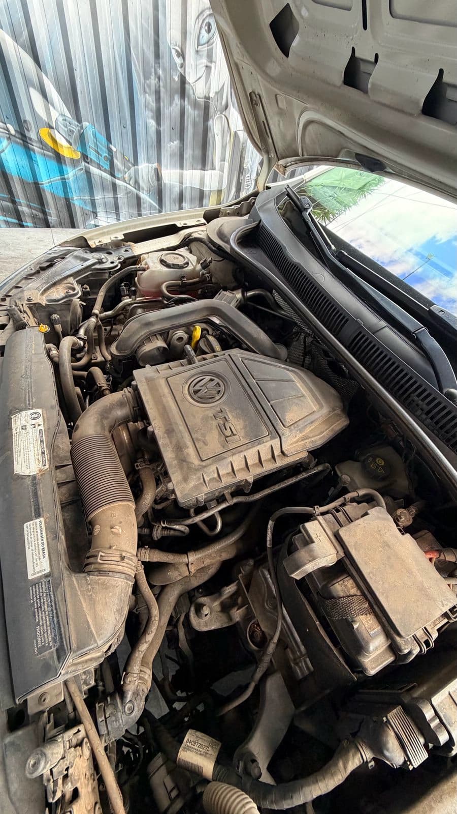 Lavagem de motor — 1